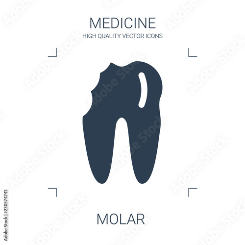 molar icon