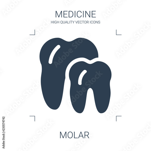 molar icon