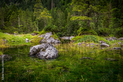 Small pond Gosaulacke under Dachstein in Alps, near Salzburg, Austria with great reflection of the green forest 
