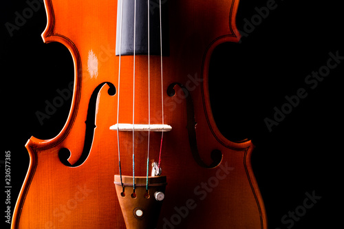 Violin Orchestra Musical Instruments