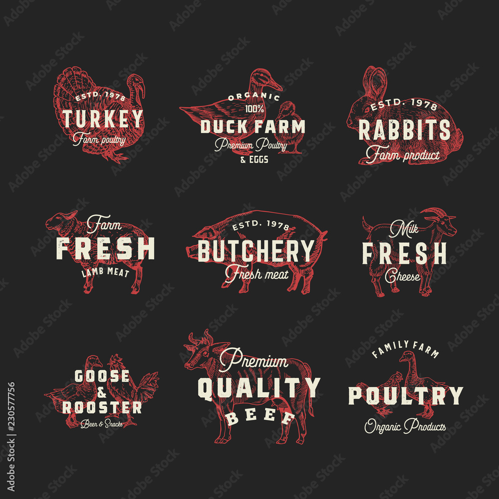 Retro Cattle and Poultry Vector Logo Templates Set. Hand Drawn Vintage ...