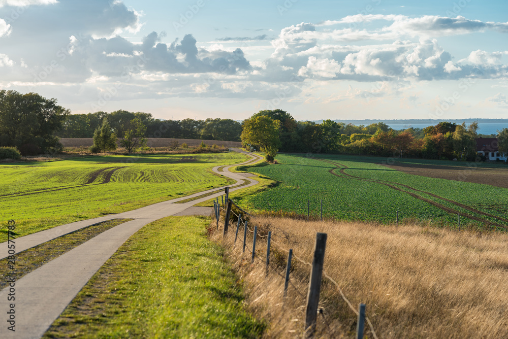 Rural area as typical part of the Rügen island in the north of Germany. Winter cereals were sown in autumn