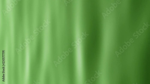 Soft focus green variegated background. Christmas style green.