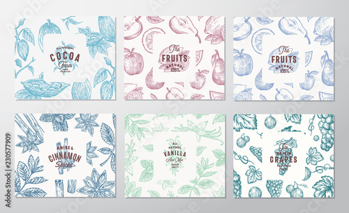 Hand Drawn Grapes, Fruits, Cocoa Beans, Mint, Nuts and Spices Cards Set. Abstract Vector Sketch Pattern Backgrounds Collection with Retro Typography Vintage Labels.