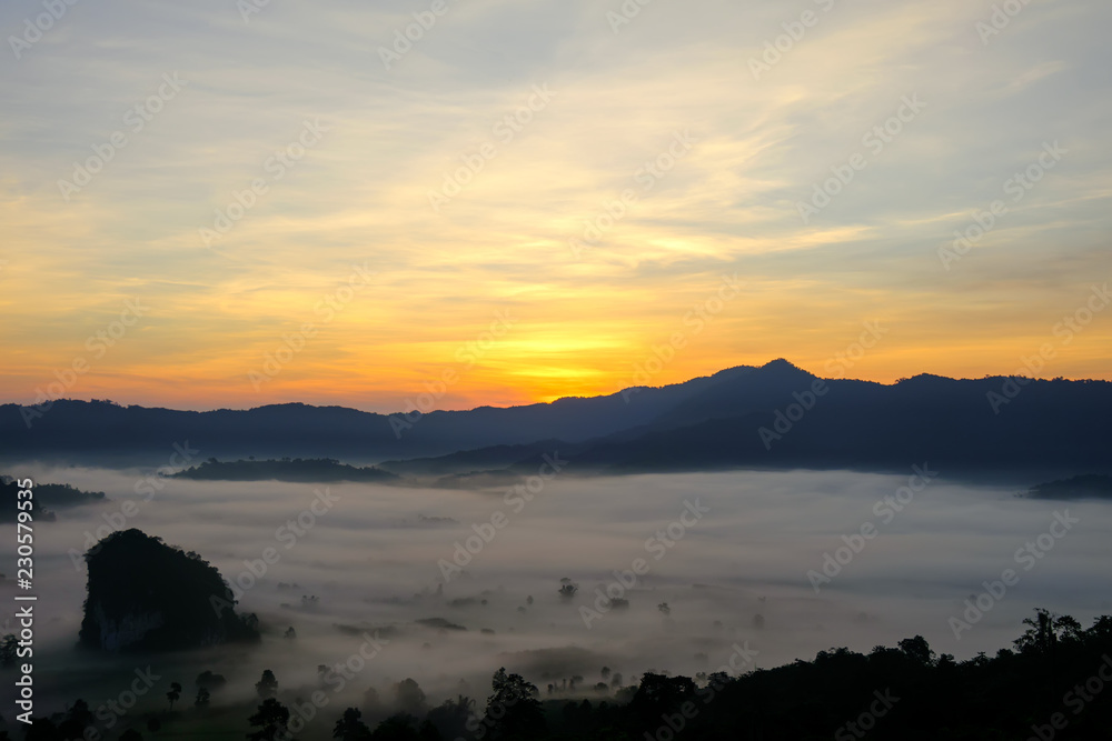 Naklejka premium Morning mist at Phu Langka, Thailand