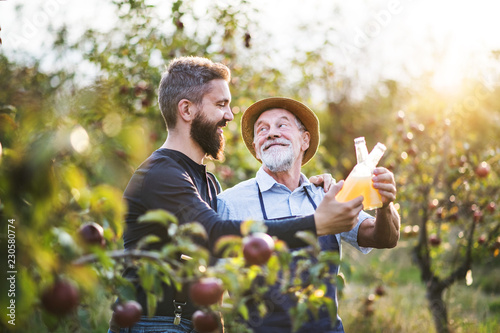 Foto A senior man with adult son holding bottles with cider in apple orchard in autumn