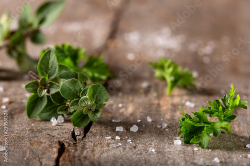 Thyme and curly parsley with salt on wood rustic background