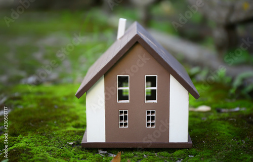 Model of house on green mos...