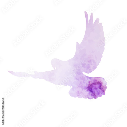 vector, isolated, purple watercolor silhouette of a flying dove