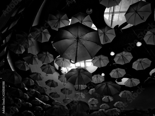 Design art umbrellas