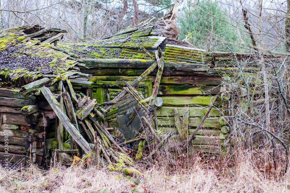 Abandoned collapsed obsolete rural wooden house ruins Abandoned collapsed obsolete rural wooden house ruins