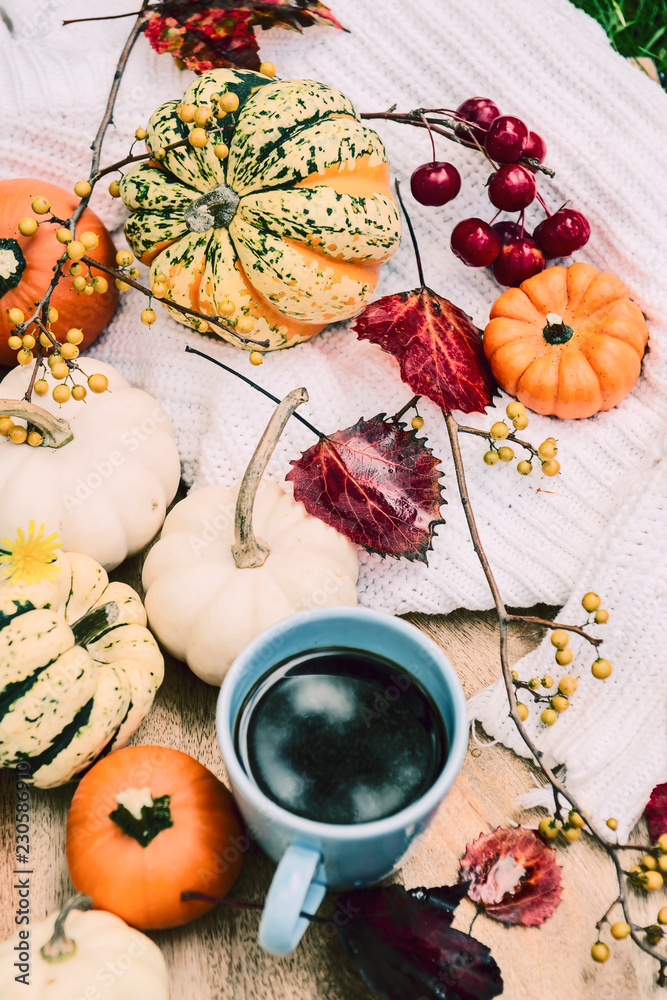 Different small pumpkin berries and leaves. autumn still life.
Different small pumpkin berries and leaves. autumn still life.