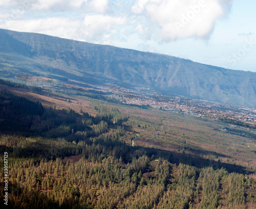 Pines and mountains in the islando of Tenerife photo