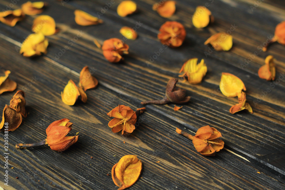 petals of dried flowers on wooden background petals of dried flowers on wooden background