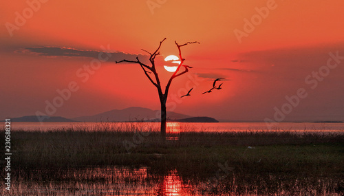 Scenic sunset view of Lake Kariba with the sun setting just behind a bare dead tree with good clouds. Lake Kariba, Matusadona National Park, Zimbabwe