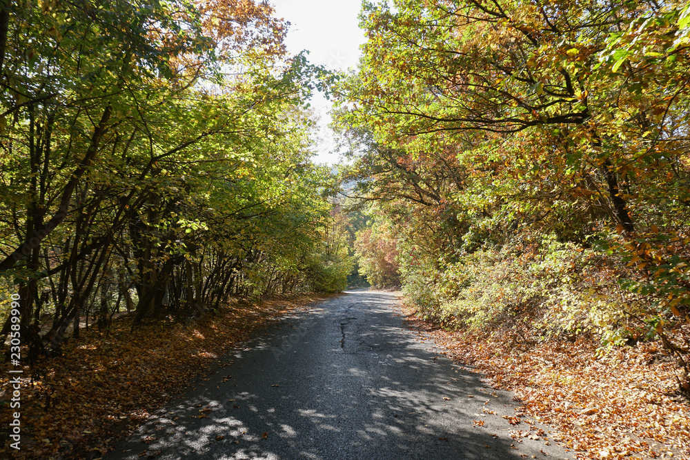 Fototapeta premium Herbst