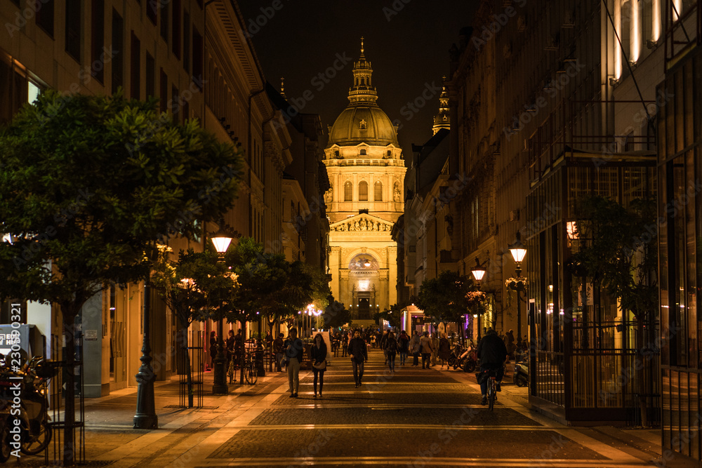 Fototapeta premium Budapest