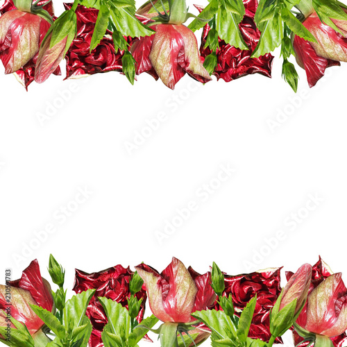 Beautiful floral background of chinese rose 