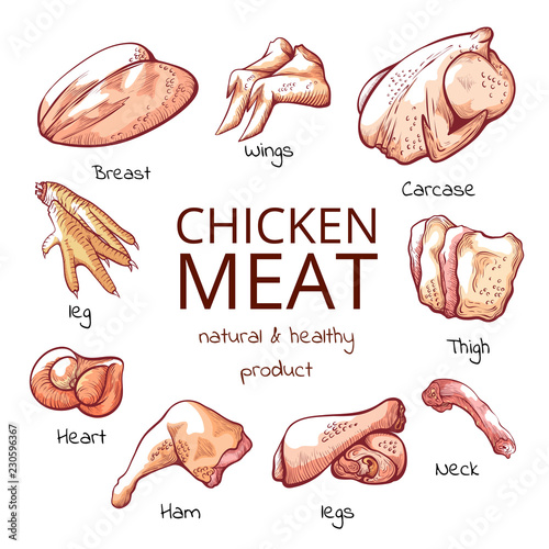 Chicken meat parts with names cuisine poster