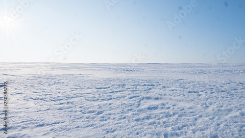 Fototapeta Naklejka Na Ścianę i Meble -  A Field covered with a snow in winter season. Winter countryside landscape.