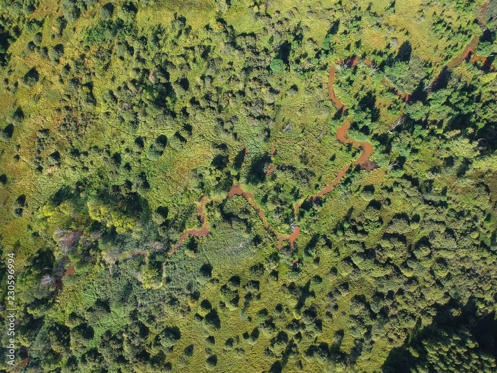Views of a vast array of forest and river from the height of