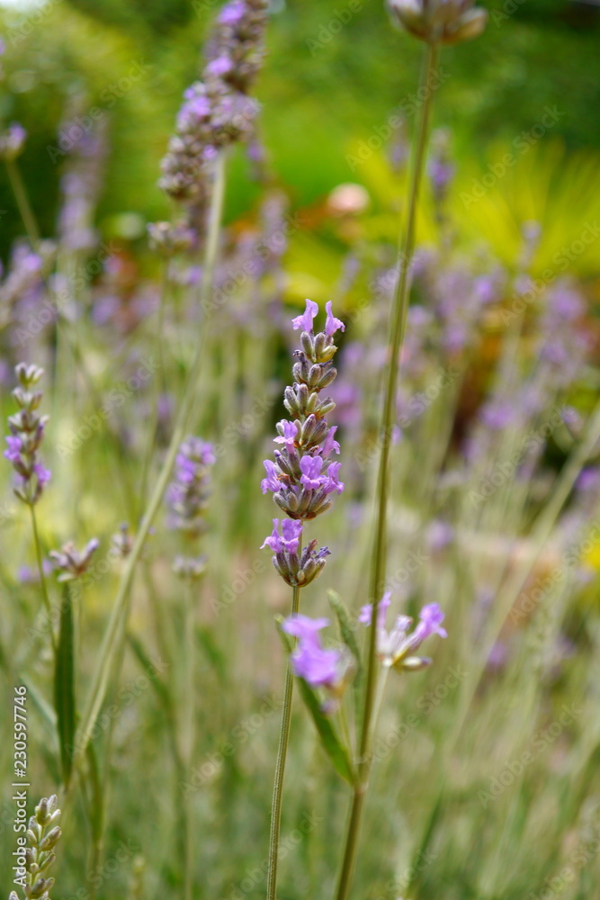 ..aF.?PurE?5?T0??}..._]?.ET.?.?]]GV.??q??u???if5i?S.?O.#Gg???u!T