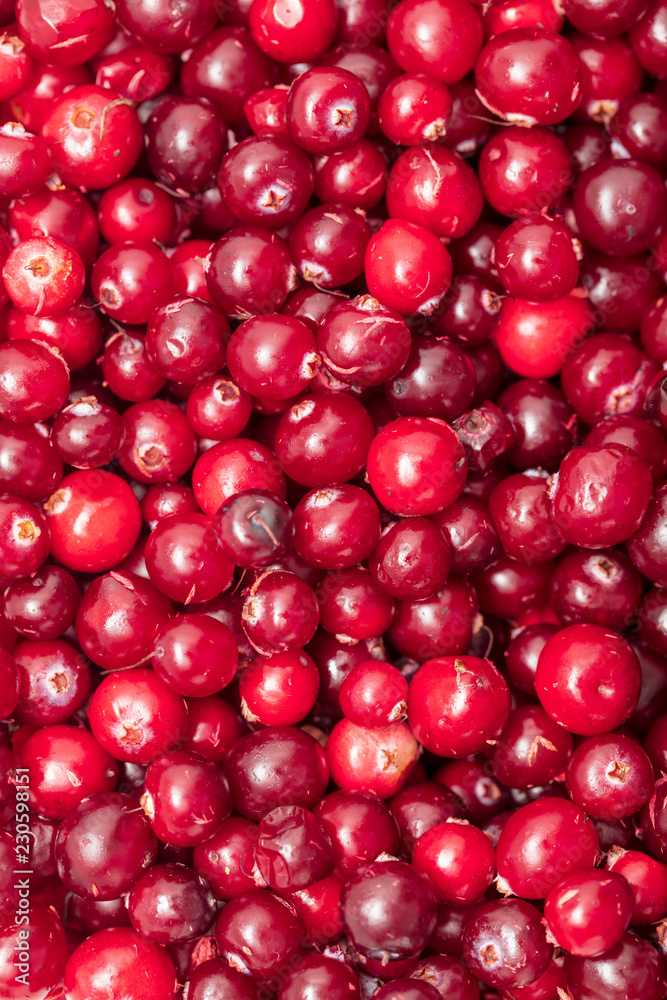 Red cranberry berries as a background Red cranberry berries as a background