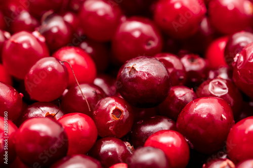 Red cranberry berries as a background
