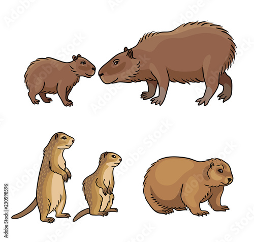 Set #2 of rodents - vector illustration