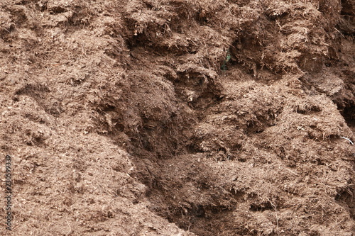 Dirt