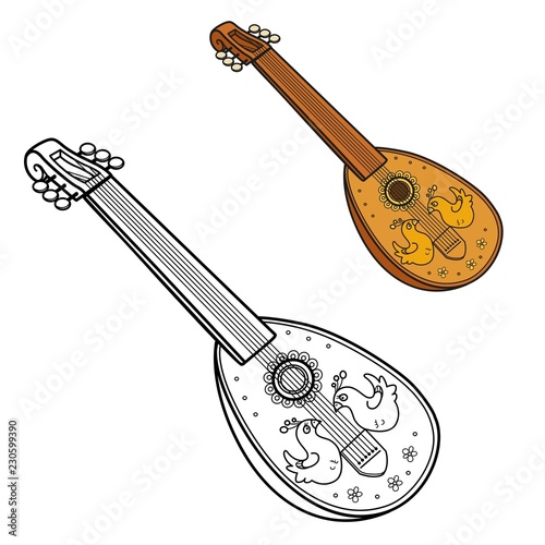 Antique lute decorated with inlaid birdss color and outlined picture for coloring book on white background photo