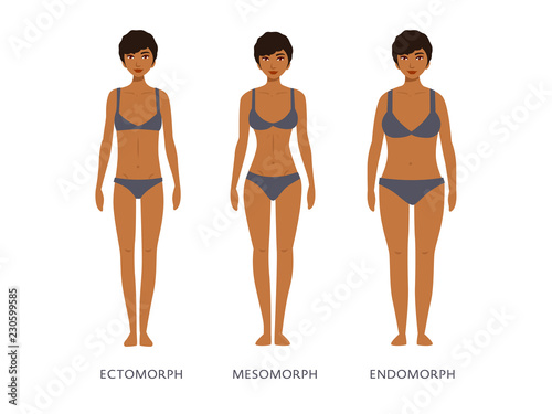 Human body types. Women as endomorph, ectomorph and mesomorph.
 photo