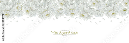 Floral posters, banners, greeting card - white chrysanthemums