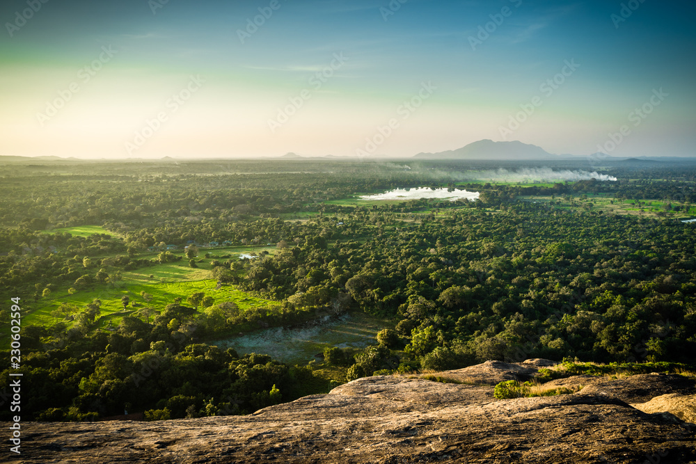 view over jungle landscape view over jungle landscape
