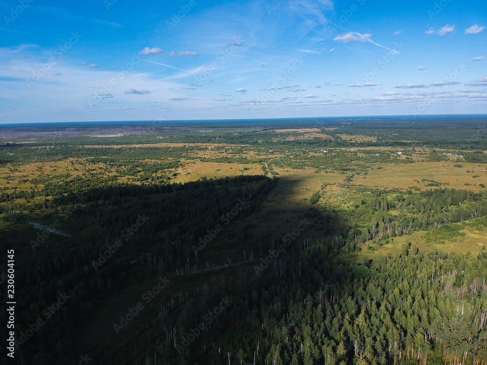 Naklejka premium View of the burned forest from a height