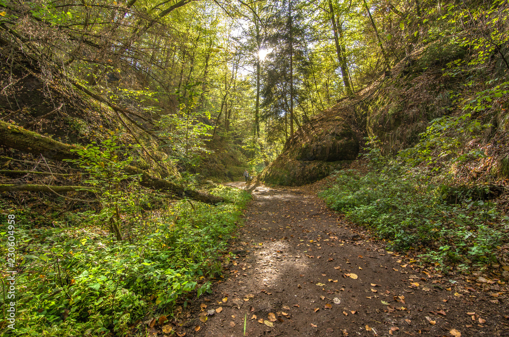 Fototapeta premium Drachenschlucht 1