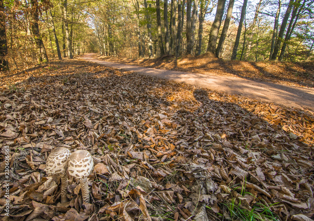 Landgrafenschlucht 2 Landgrafenschlucht 2