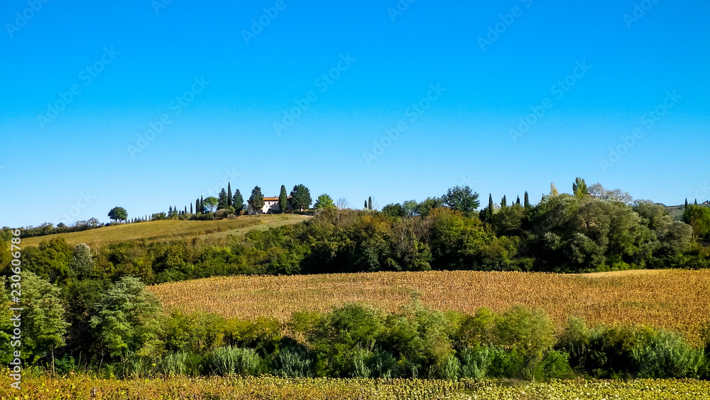 Hills, fields and meadows - typical views of Tuscany. Hills, fields and meadows - typical views of Tuscany.