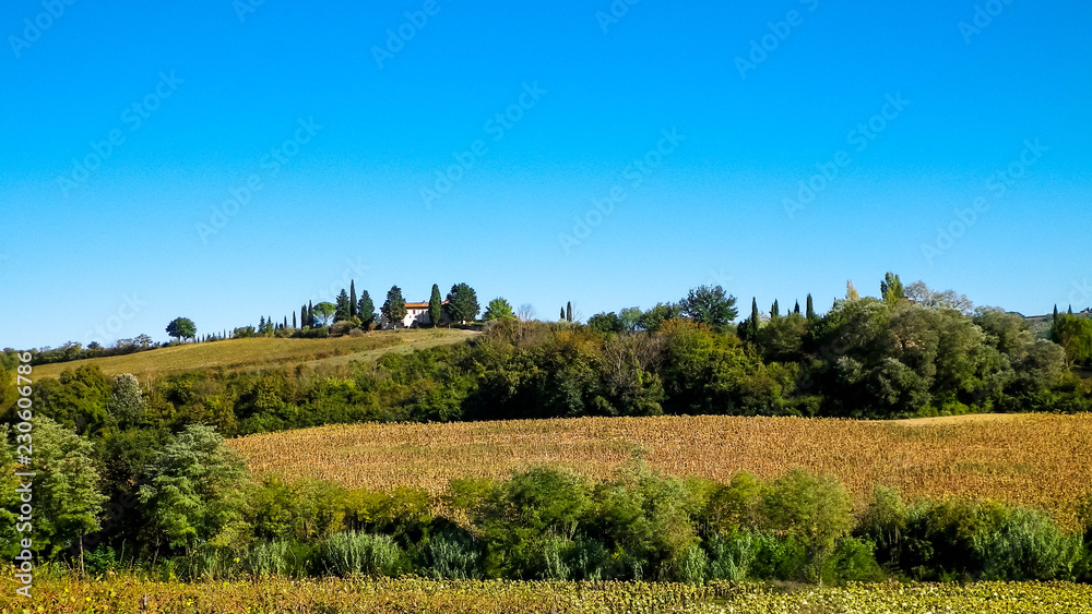 Hills, fields and meadows - typical views of Tuscany.