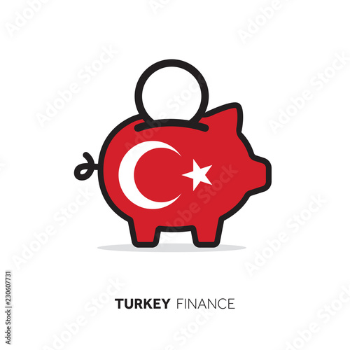 Turkey economic concept. Piggy bank with national flag.