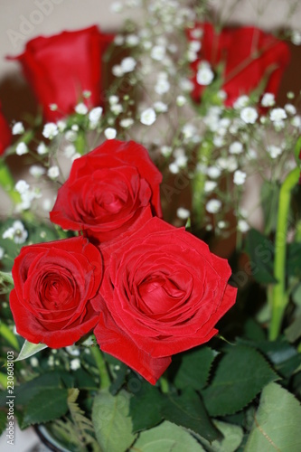 Roses