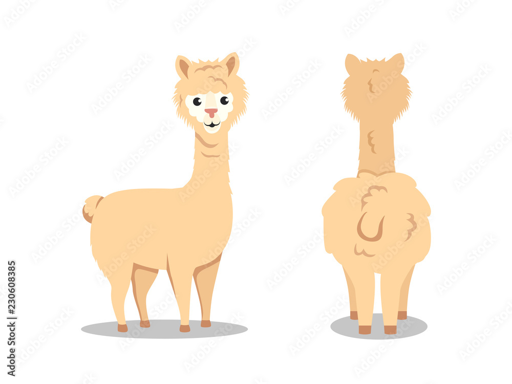 CUTE LLAMA CARTOON CHARACTER FLAT ILLUSTRATION SET CUTE LLAMA CARTOON CHARACTER FLAT ILLUSTRATION SET