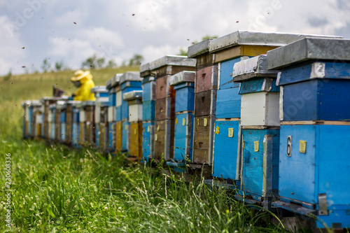 Beekeeper © Herr Bro
