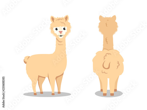 CUTE LLAMA CARTOON CHARACTER FLAT ILLUSTRATION SET