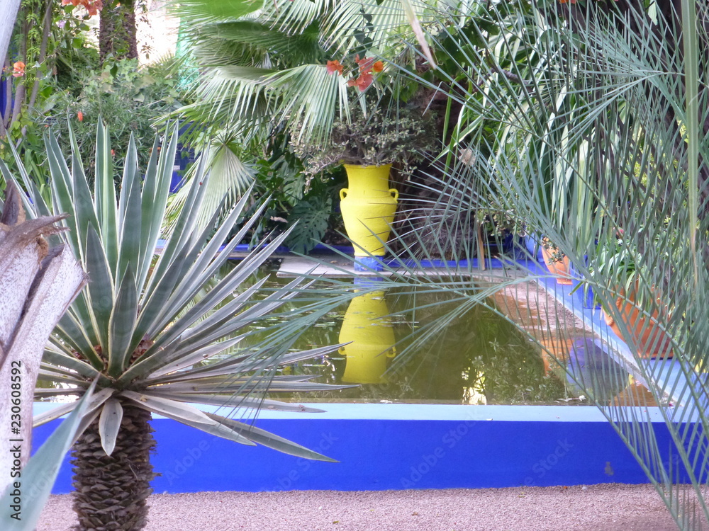 Poster de jardin avec Majorelle garden, Marrakech #230608592