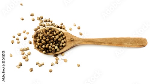 Coriander Seeds in Wooden Spoon