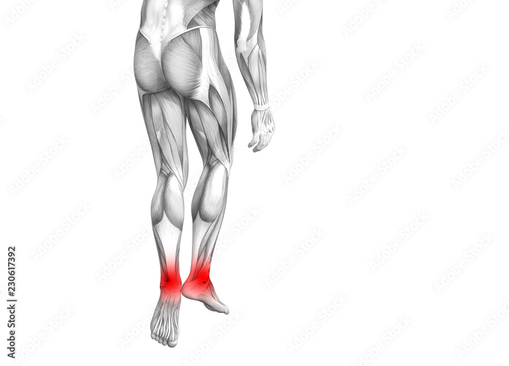 Conceptual ankle human anatomy with red hot spot inflammation or articular joint pain for leg health care therapy or sport muscle concepts. 3D illustration man arthritis or bone osteoporosis disease Conceptual ankle human anatomy with red hot spot inflammation or articular joint pain for leg health care therapy or sport muscle concepts. 3D illustration man arthritis or bone osteoporosis disease