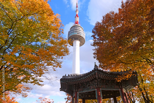 N Seoul tower during Autumn in Seoul, Korea.