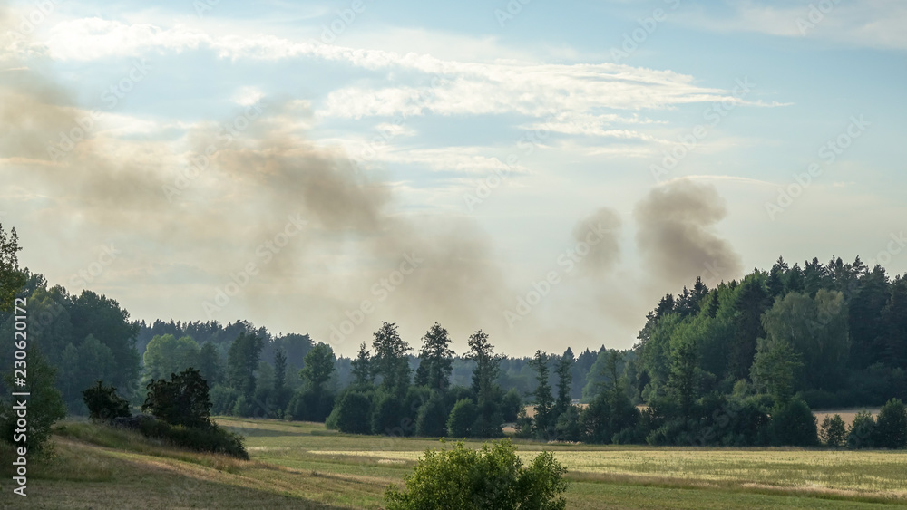 Forest fire, nature disaster. Smoke comes up from a forest fire under extreme heat and drought in summer 2018 in Sweden. Forest fire, nature disaster. Smoke comes up from a forest fire under extreme heat and drought in summer 2018 in Sweden.