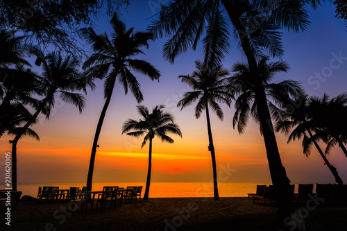 background landscape silhouette coconut and table food